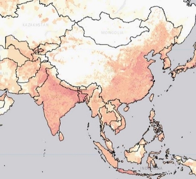 This graphic from POPGRID Viewer offers a visual representation of population data (orange and pink) in China, India, Japan, North and South Korea, and several other countries in the region.