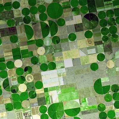 Satellite image of green circular farms of different sizes.