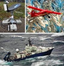 Airborne and Field Data Workshop 2024 image