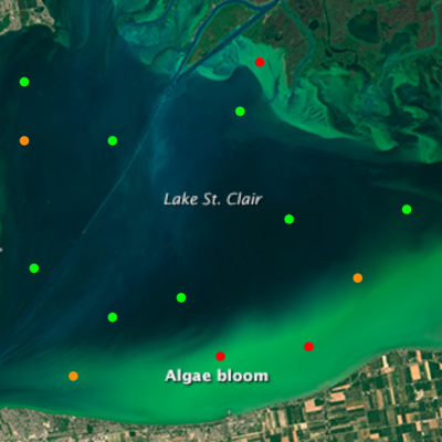 Image of a lake with bright green along shore indicating algal blooms and colored dots indicating higher probabilities of these blooms