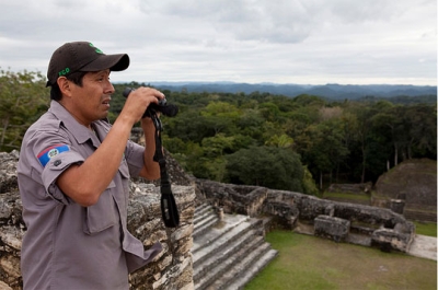 Resource manager Rafael Manzanero stands atop the great temple at Caracol Archaeological Reserve, located inside the Chiquibul National Park. (Photograph by J. Houston courtesy Rare)