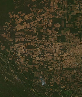True color image of  Agricultural Fields in Paraguay on 25 May 2020 (Aqua/MODIS)