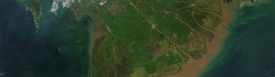 Agricultural fields in southern Vietnam - feature grid
