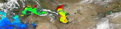 Chlorophyll-a concentration in the Caspian Sea - feature grid