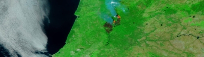 Wildfire in Portugal - feature grid