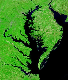 Chesapeake Bay on 10 May 2020 (Aqua/MODIS)