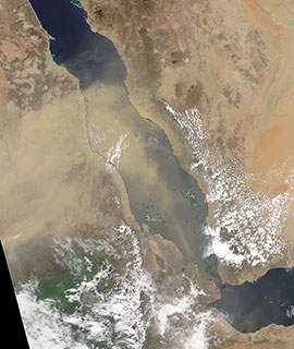 Dust blowing into the Red Sea - feature grid