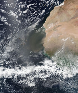 Dust off the coast of Mauritania and Senegal - feature grid
