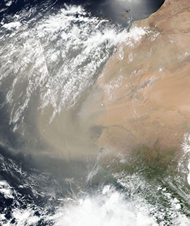 True color satellite image of dust blowing off the coast of western Africa on 14 June 2020 (Suomi NPP/VIIRS)