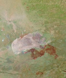 Etosha Pan, Namibia on 18 October 2020 (Terra/MODIS) - Feature Grid