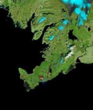 Eruption at Mount Fagradalsfjall, Iceland on 11 May 2021 (Terra/MODIS) - Feature Grid