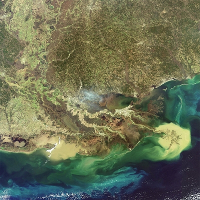 Mississippi River Delta empties sediment into the Gulf of Mexico in this Envisat image acquired on 6 February 2007