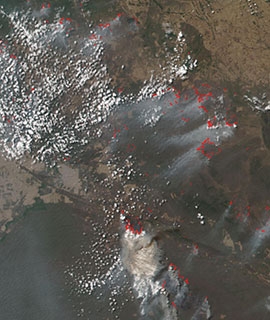 Fires in Bolivia - feature grid