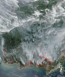 Fires in Kalimantan, Indonesia - feature grid