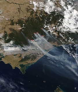 Fires and smoke in New South Wales, Australia - feature grid