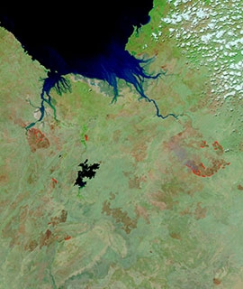 Fires in the Northern Territory and Western Australia - feature grid