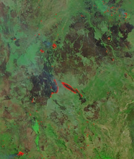 Fires in South Sudan - feature grid