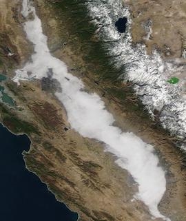 Tule Fog in the Central Valley, CA on 20 December 2020 (Terra/MODIS) - Feature Grid