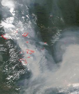 Fires in Manitoba and Ontario, Canada on 11 July 2021 (NOAA-20/VIIRS) - Feature Grid