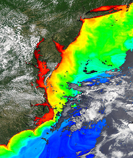 Chlorophyll a along the Mid-Atlantic coast, USA - feature grid