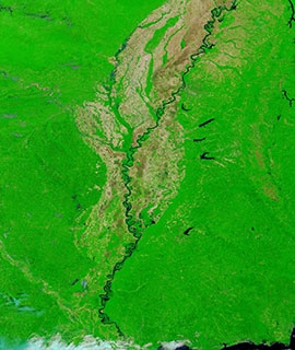 False color image of the Mississippi River on 31 May 2020 (MODIS/Terra)