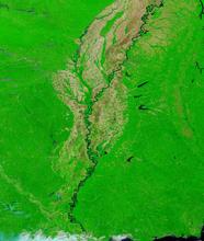 False color image of the Mississippi River on 31 May 2020 (MODIS/Terra)