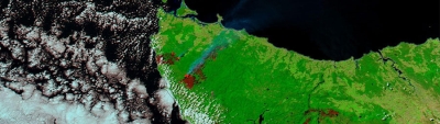 Bushfires in Tasmania - feature grid