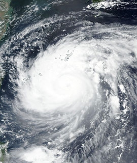 Typhoon Maysak on 31 Aug 2020 (Suomi NPP/VIIRS) - Feature Grid