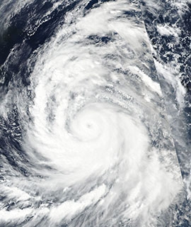 Typhoon Kong-Rey in the Philippine Sea - feature grid