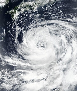 Typhoon Krosa in the Philippine Sea - feature grid