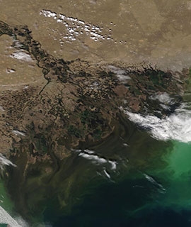 Volga Delta, Russia and Kazakhstan on 4 May 2020 (Terra/MODIS)