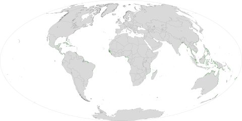 optical-imagery-map