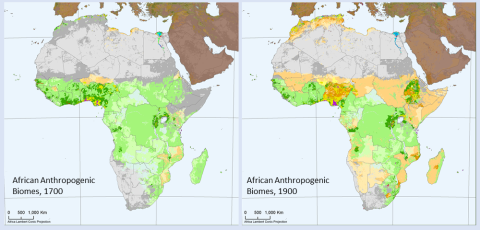 africa biomes