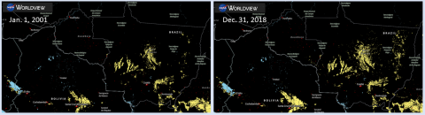 modis comparison