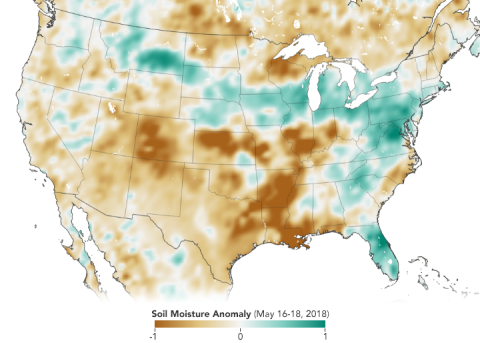 Map based on Soil Moisture Active Passive (SMAP) data showing soil moisture anomalies across the U.S. in mid-May 2018. Soil anomaly data indicate how much the moisture content was above or below the norm. Image: NASA Earth Observatory.