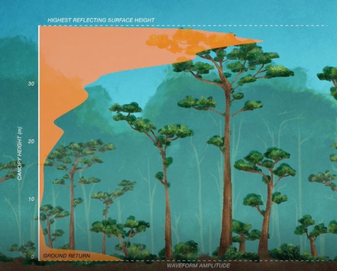 Graphic of lidar waveform data acquired by GEDI