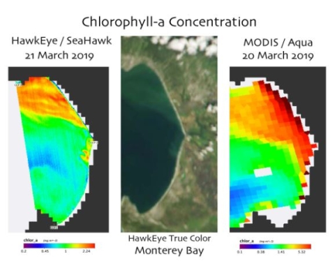 A comparison of HawkEye (left) and MODIS (right) chlorophyll-a concentration visualization shows the increased subpixel variability that HawkEye offers.