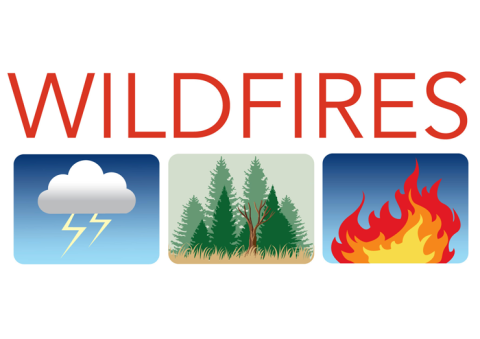 wildfires