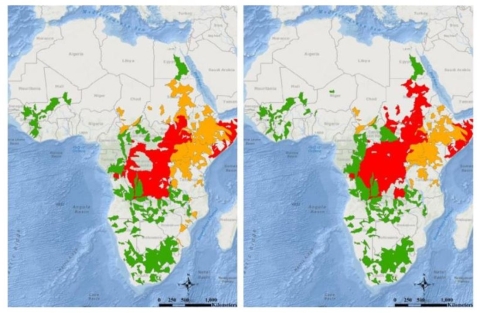 Side-by-side maps of Africa with colors indicating flood warnings over two days. 