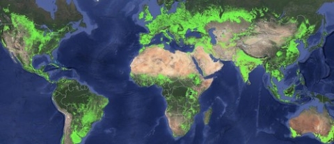 Map of world with green areas indication cropland