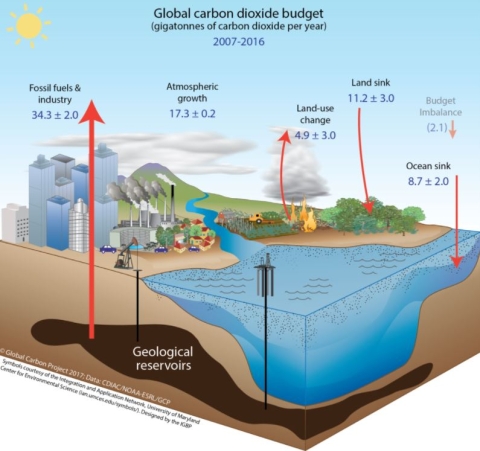 This is an illustration depicting the global carbon budget.