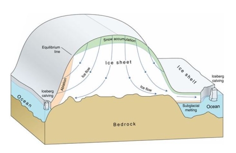 Drawing of an ice sheet showing lines of ice flow