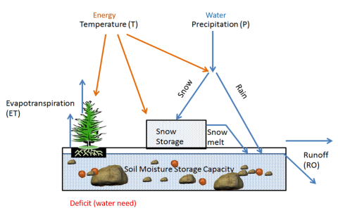 Illustration of water balance with colored arrows showing the general flow.