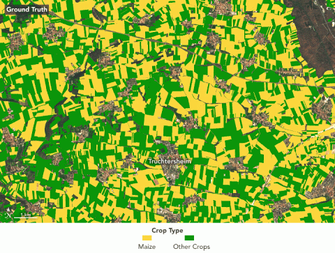 crops in France