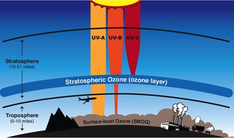 illustration of ozone types and where they occur in the atmosphere.