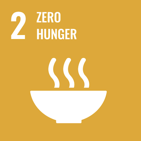 Yellow square with number 2 and words Zero Hunger