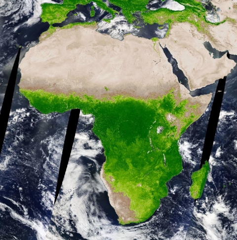 Image of Africa with dark green in southern Africa and brown in northern Africa.