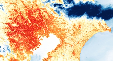 An image of Tokyo showing heat temperature ranges in colors from yellow to red.