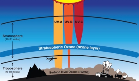 A diagram of the atmosphere showing the Troposphere, Stratosphere, and stratospheric ozone layer.