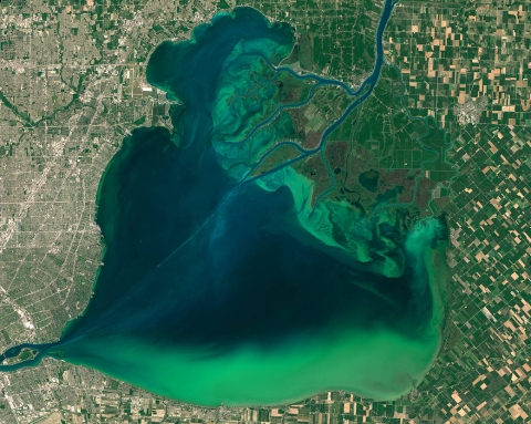 Image of a lake with a huge algal bloom in bright green along southern and northern edges.